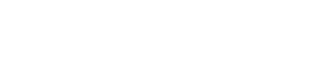 SD&I Services